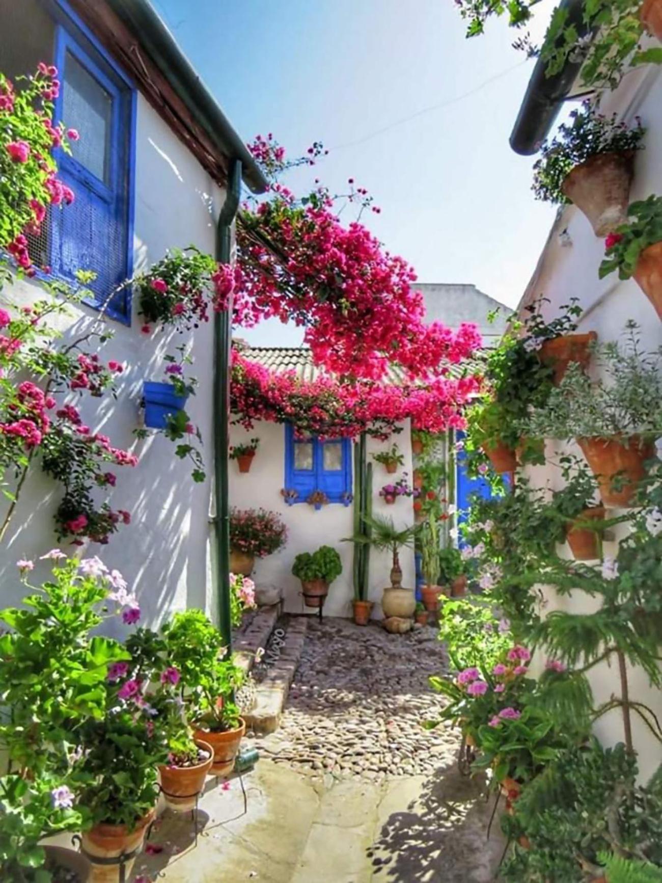 Nieves Viejas Los Patios قرطبة المظهر الخارجي الصورة