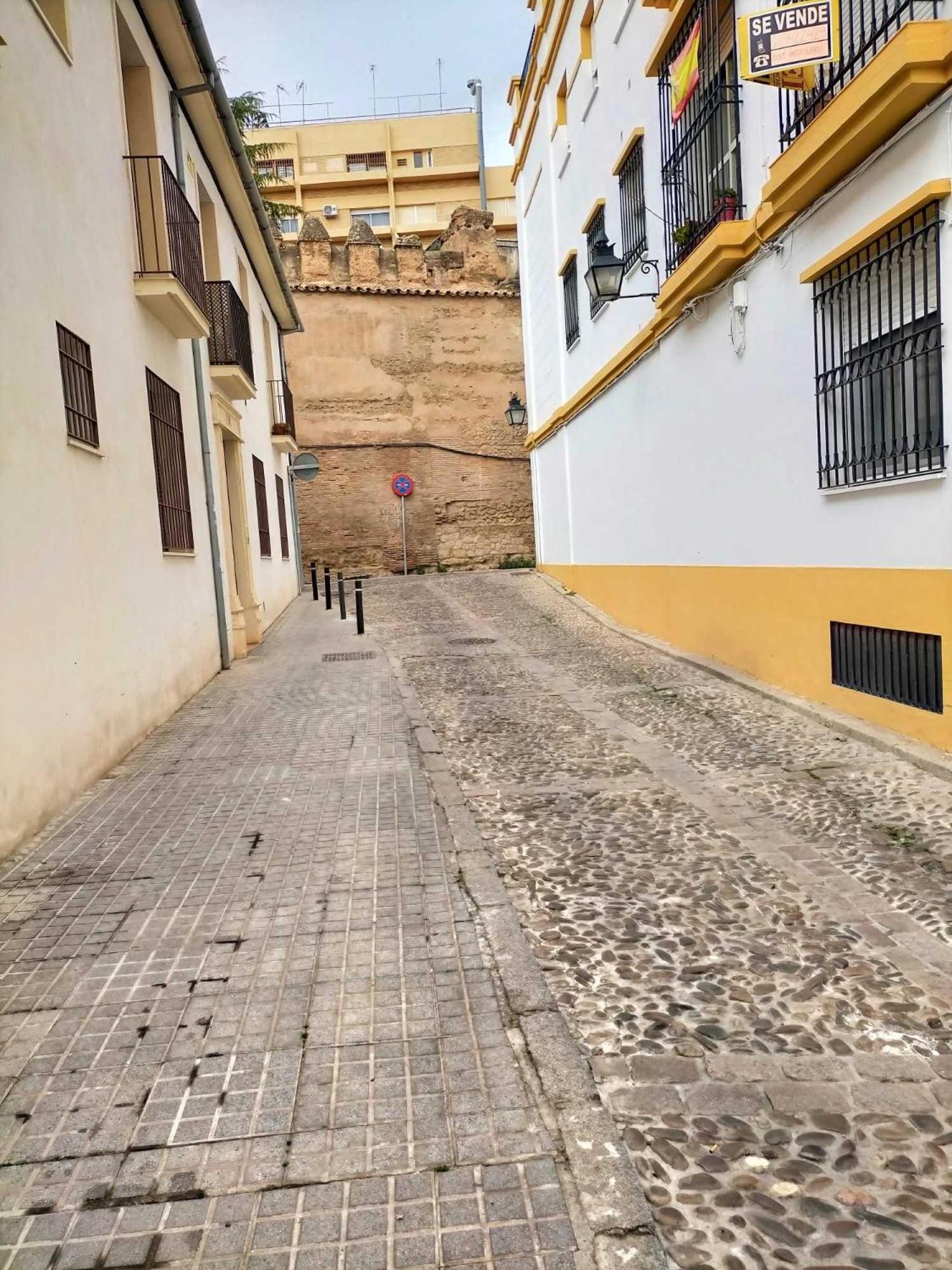 Nieves Viejas Los Patios قرطبة المظهر الخارجي الصورة