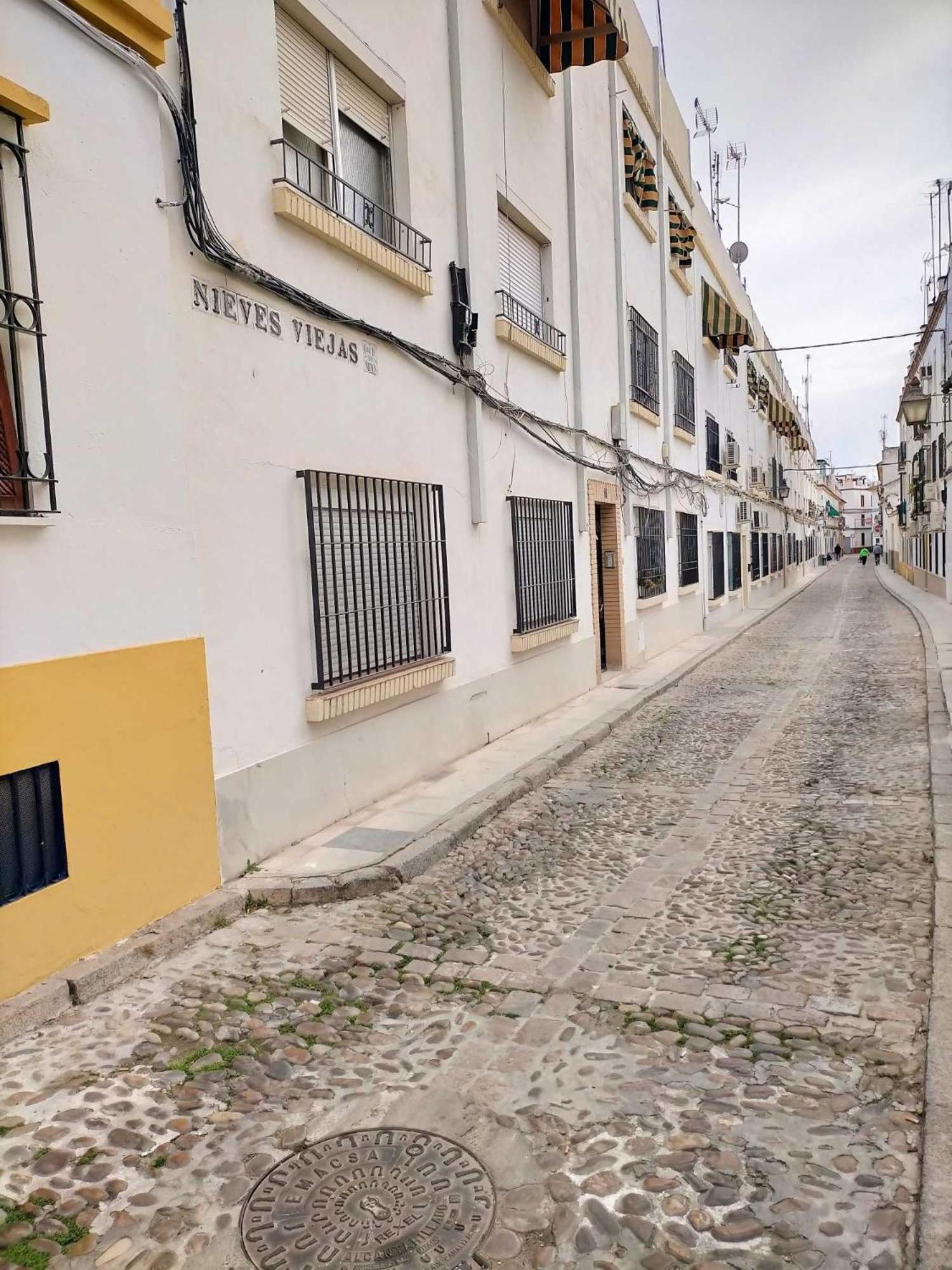 Nieves Viejas Los Patios قرطبة المظهر الخارجي الصورة